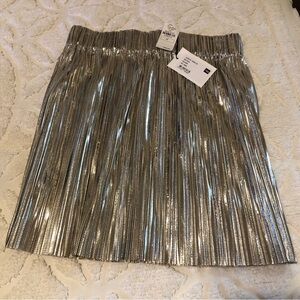 Isabel Etöile Marant silver pleated skirt NWT sz 6